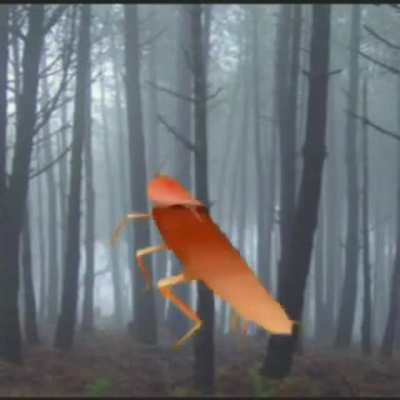 In the forest (the background song is a random one :p)