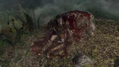 Ah yes, good old fashion skyrim