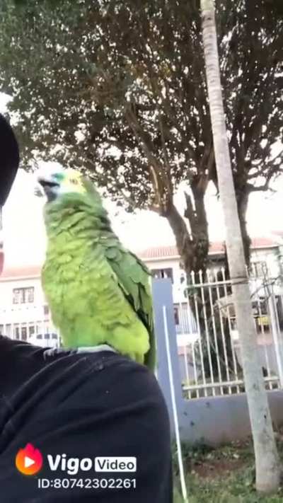 N&Atilde;O PODE!