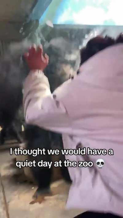 Don&rsquo;t these animals suffer enough?