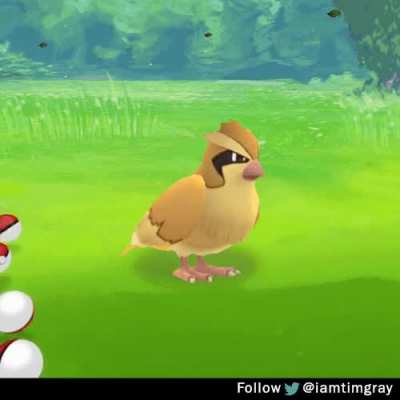 mew_irl