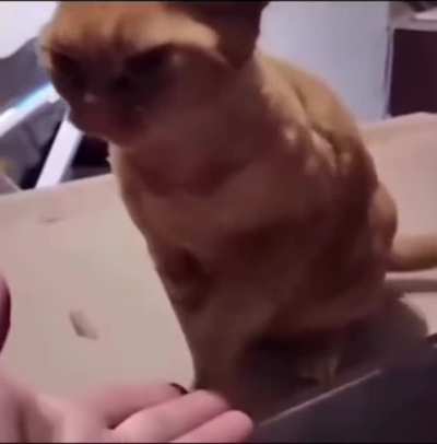 So intelligent!