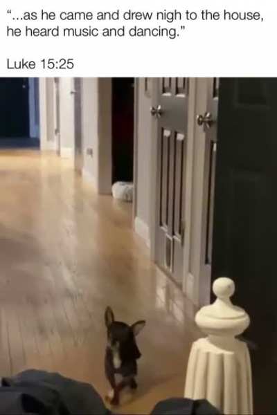 🐕
