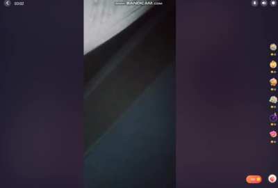 Livu v8