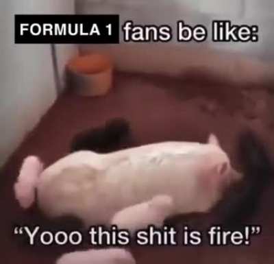 Formula 2 fans always winning