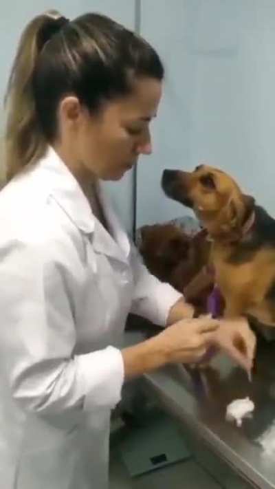 Pure Trust and Love