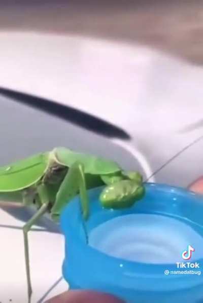 Sharing a drink of water