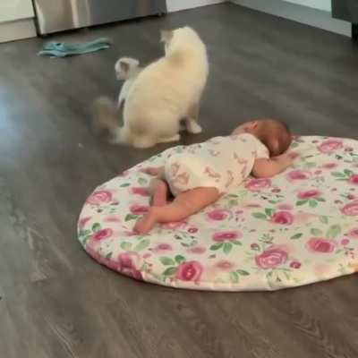 Mommy cat showing her baby to the newest member of the family.. 😊