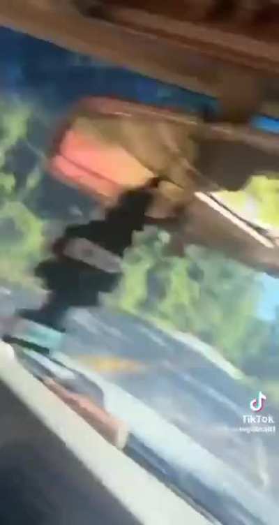 Sssee ya sssuckersss