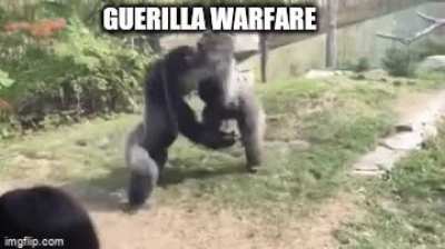Gorilla warfare