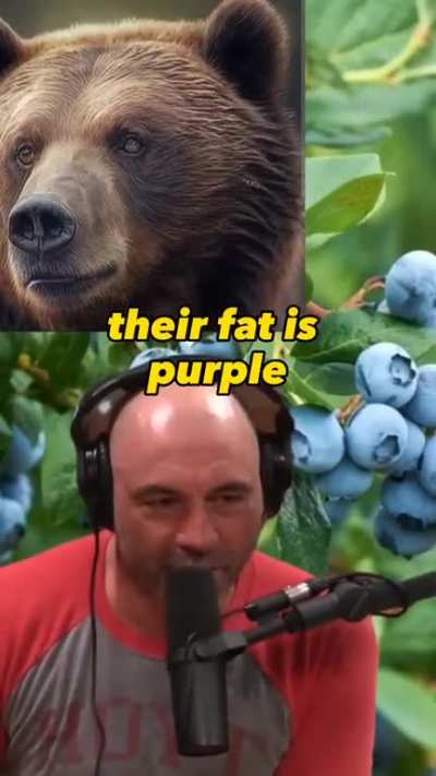 And now I wanna eat some blueberries.