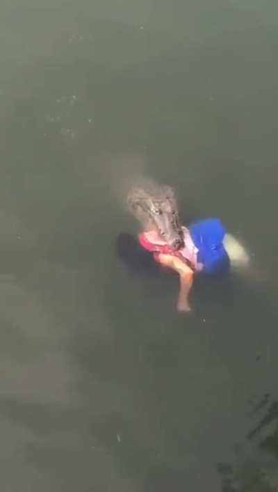 Crocodile Attack in Powai