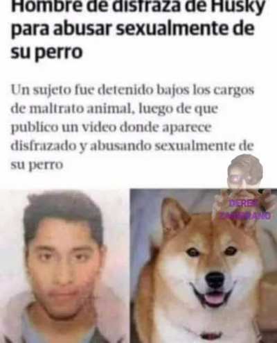 Pero MAAU 😳