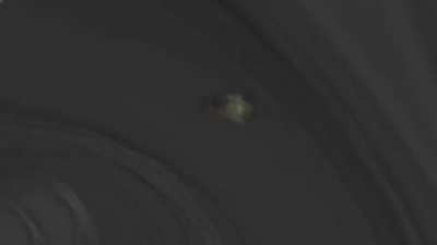 Doorule