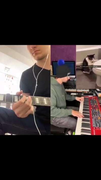 Cat Bop