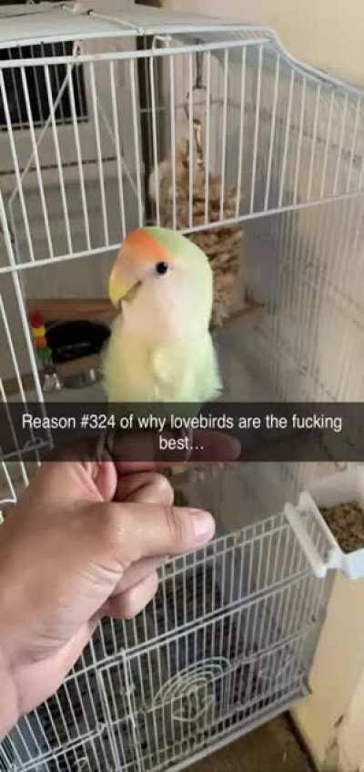 Can&rsquo;t stay mad at that fluffy face.