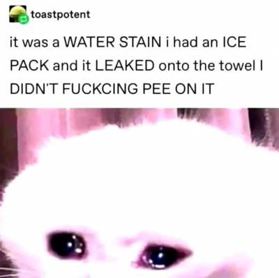 peepee boy