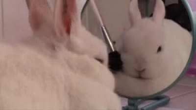 Bunn Beauty Tutorial
