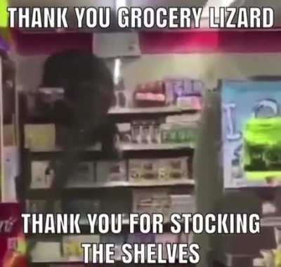 Helpful Lizard