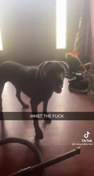 out of all the words