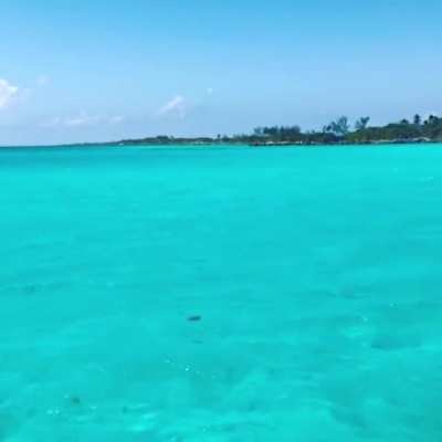 Still can&rsquo;t get over this water...Blue Lagoon Nassau Bahamas