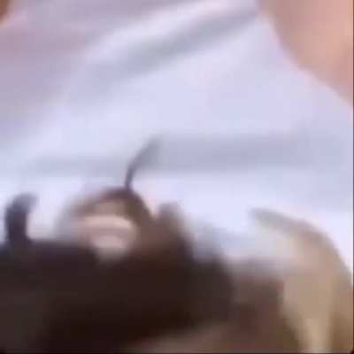 I don't want to be horny anymore, i just want to be drogadicto sobre ruedas