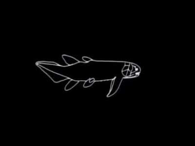 4 billion years of evolution represented in 40 seconds