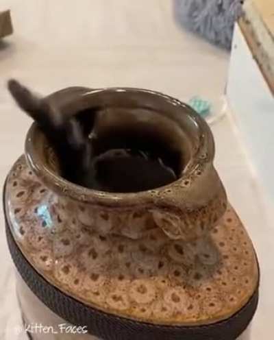 Фокус