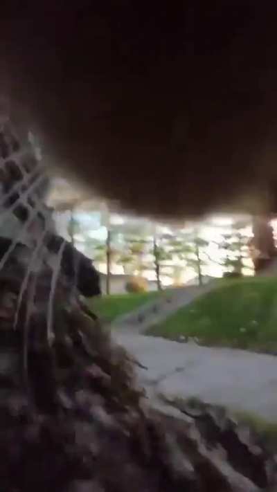 Wunkus POV