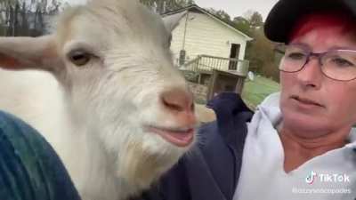 Funny Conversation Between Baby Goat And Woman