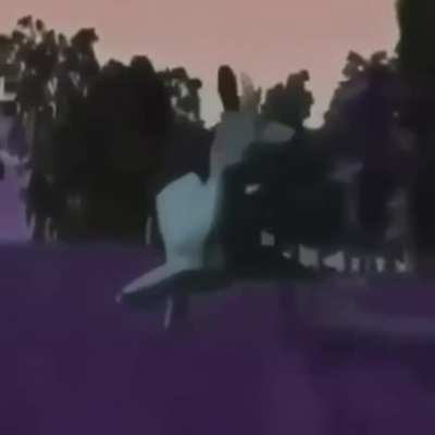 Fall&ecirc;