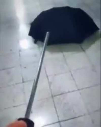 Sad umbrella moment