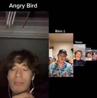 The angry bird