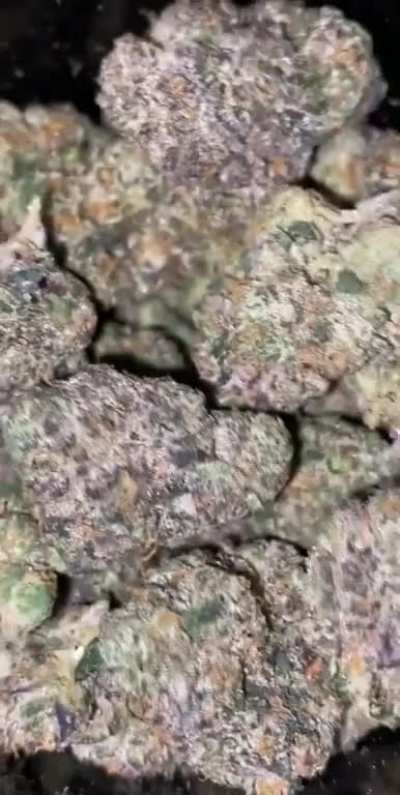 gelato #co