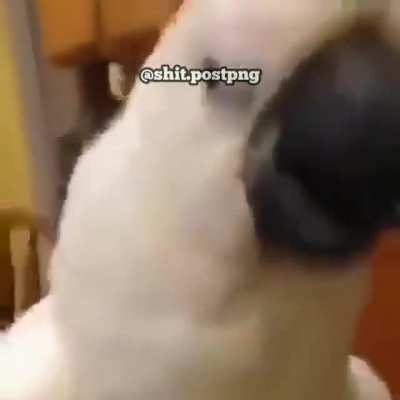 '_'