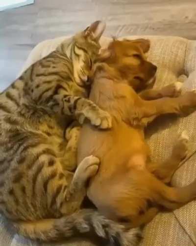 Like a real brother and sister