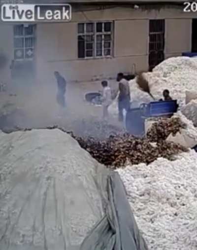 Cotton