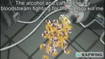 Let them fight
