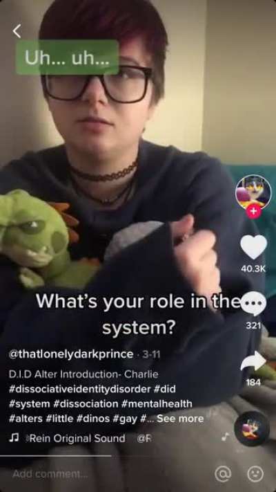 They put a &ldquo;Gay&rdquo; tag on their little introduction. Also, on a side note, why does their 8 year old alter act like he&rsquo;s 2?