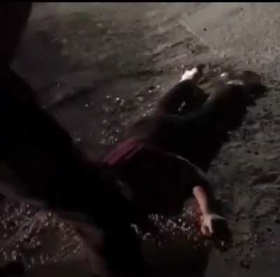 BRUTAL HEADSTOMPS (NSFW)