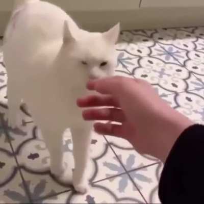Classic case of pet me actually no I hate you.