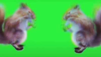 I make dumb useless videos when I&rsquo;m bored