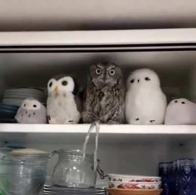 Perfect fit
