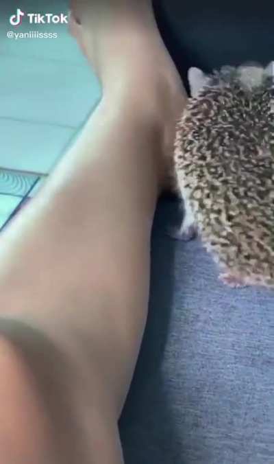 ahhh!