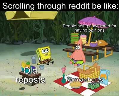Only the last one sparks joy