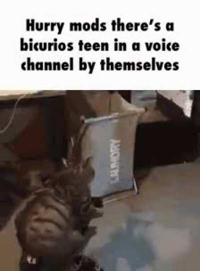 Rule