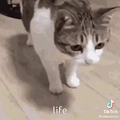 quick revive