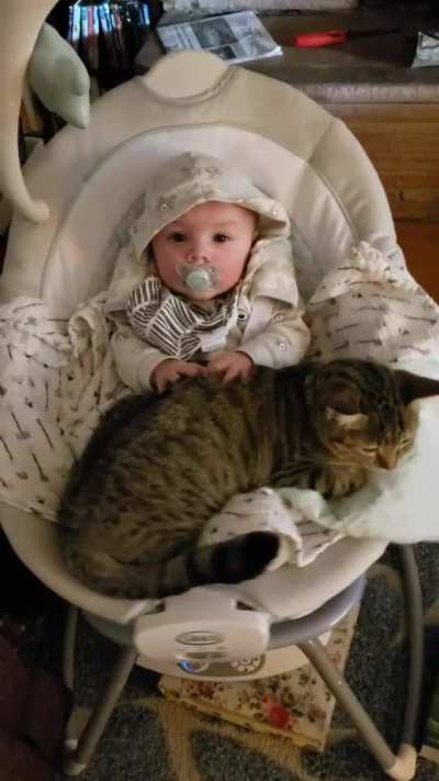 baby's bedtime