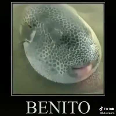 Benito