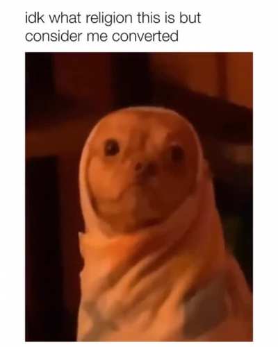 ☮️🐾🐶